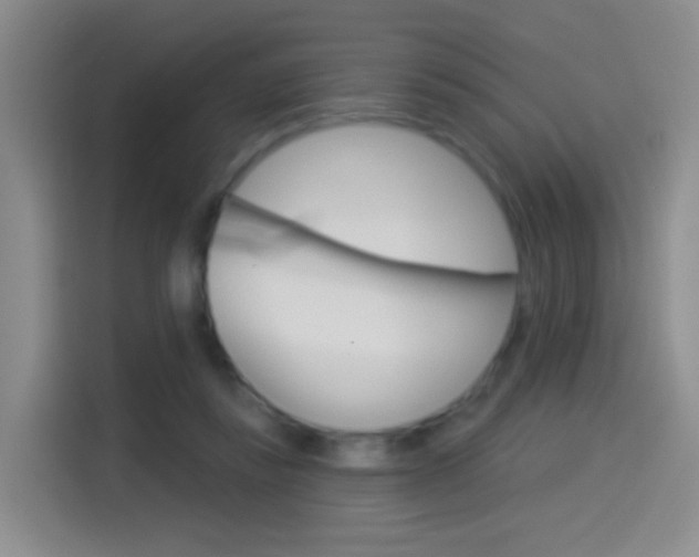 X0000114550355200910190956
