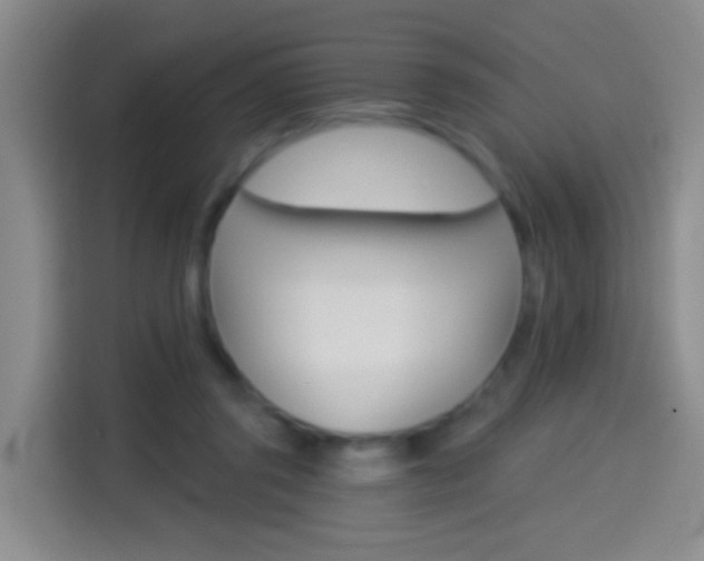 X0000114550357200910190956