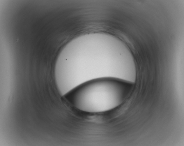 X0000114550362200910190956