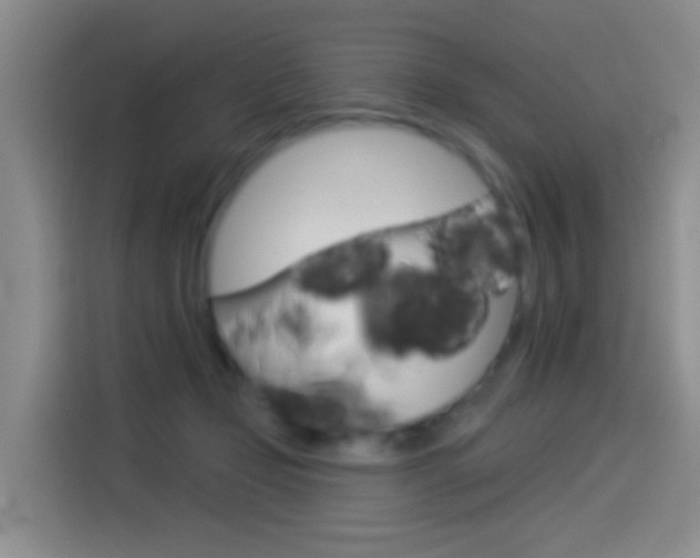 X0000114550365200910190956
