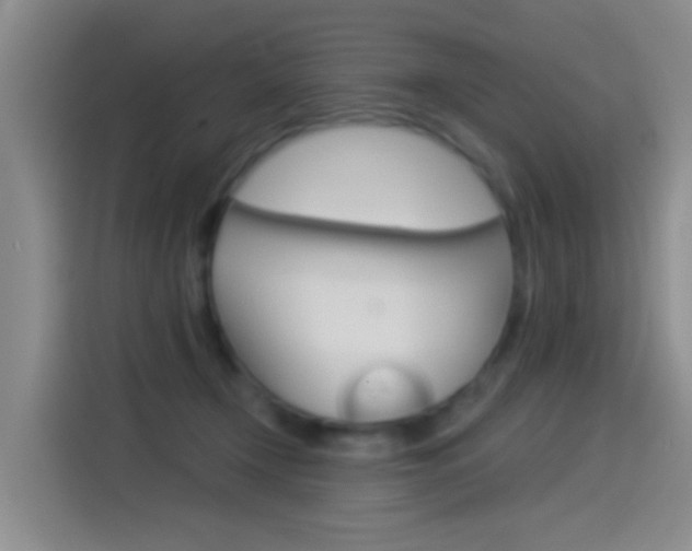 X0000114550366200910190956