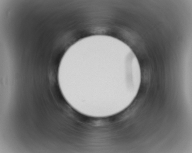 X0000114550370200910190956