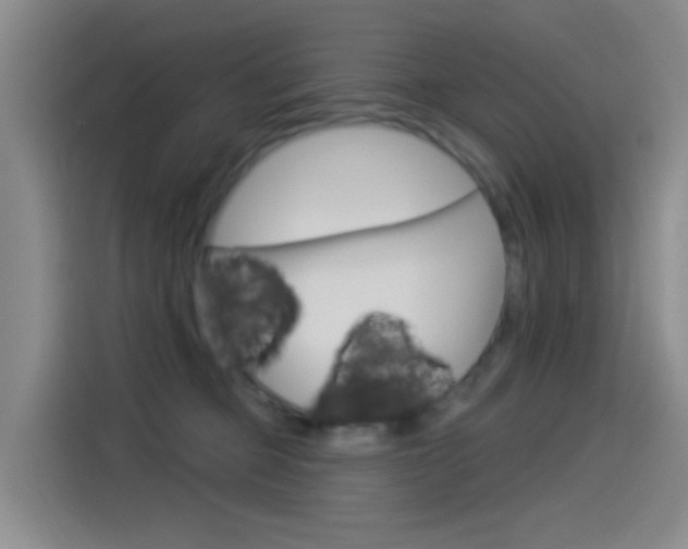 X0000114550373200910190956