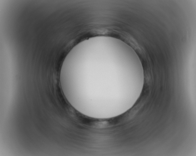 X0000114550374200910190956