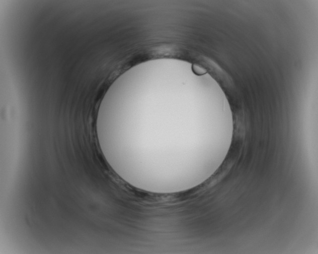 X0000114550377200910190956
