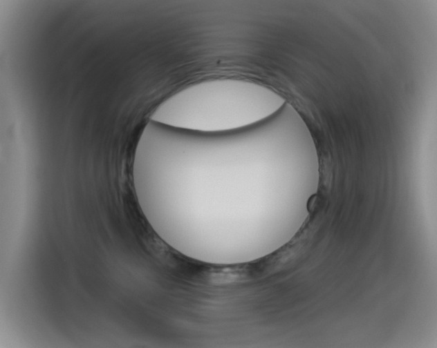 X0000114550378200910190956