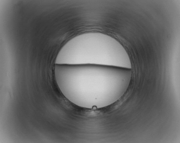 X0000114550379200910190956