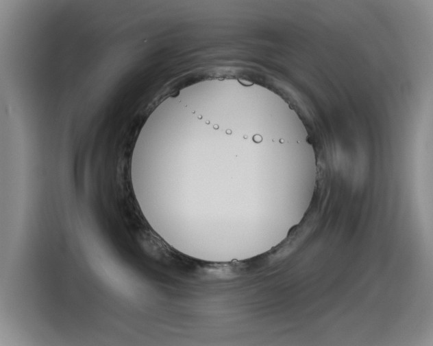 X0000114550381200910190956