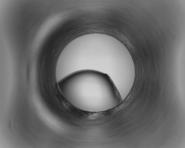 X0000114550382200910190956
