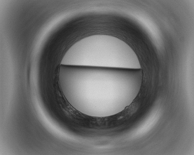 X0000114550383200910190956