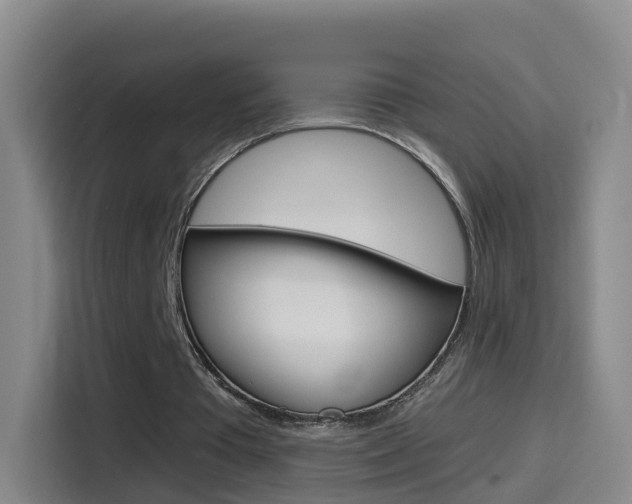 X0000114550385200910190955