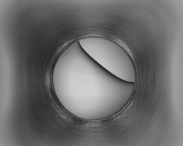 X0000114550386200910190955