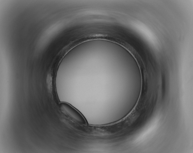 X0000114550387200910190955