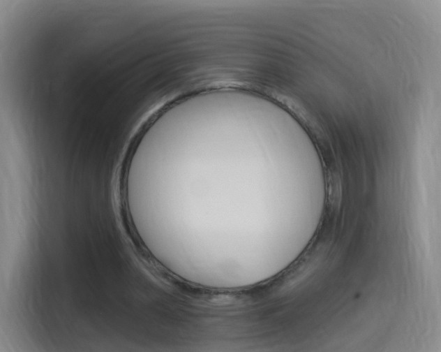X0000114550390200910190955