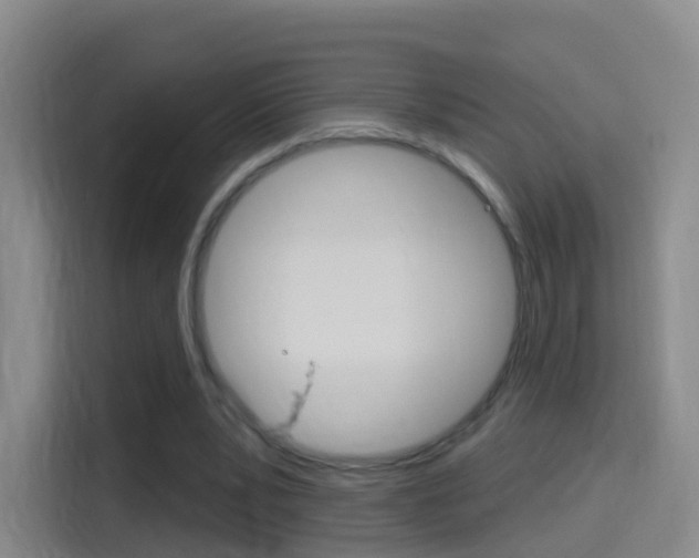 X0000114550391200910190955
