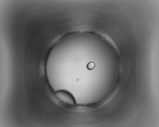 X0000114550393200910190955