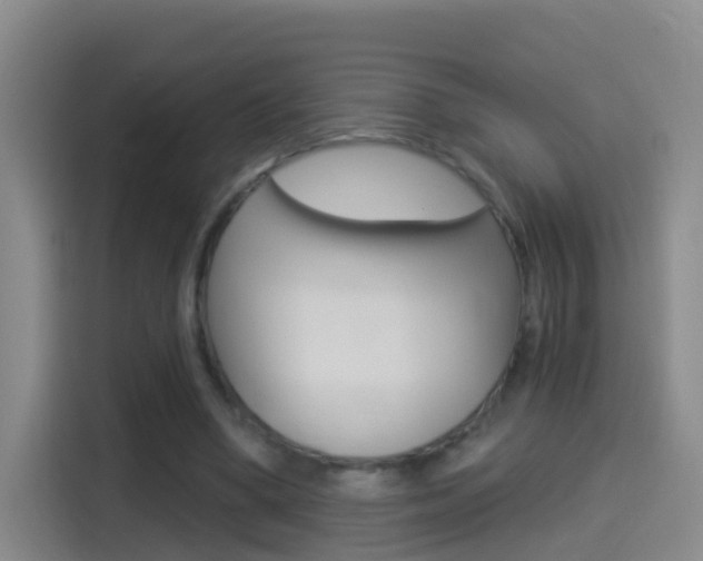 X0000114550394200910190955