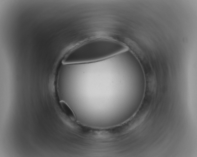 X0000114550395200910190955