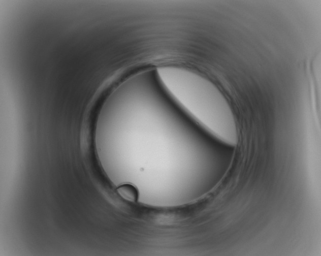 X0000114550400200910190955
