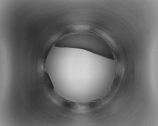 X0000114550405200910190955