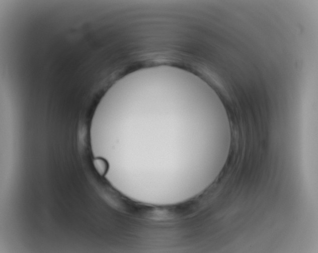 X0000114550406200910190955