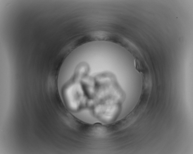 X0000114550409200910190955