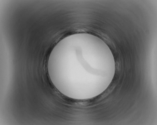 X0000114550422200910190955