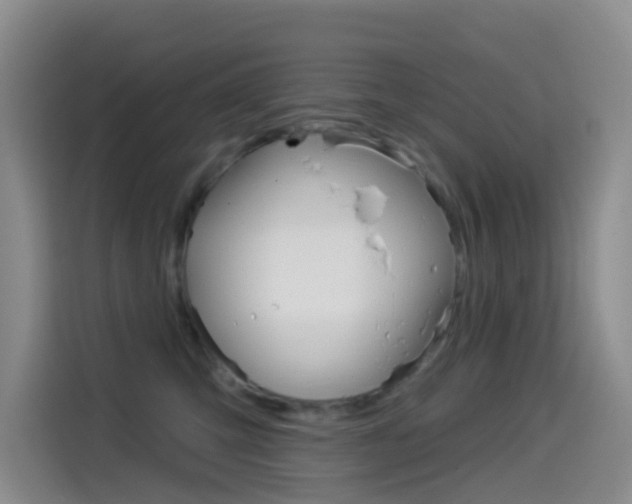 X0000114550423200910190955