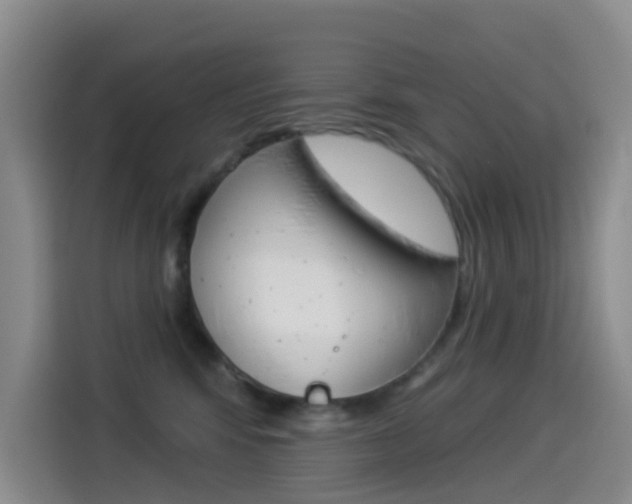 X0000114550424200910190955