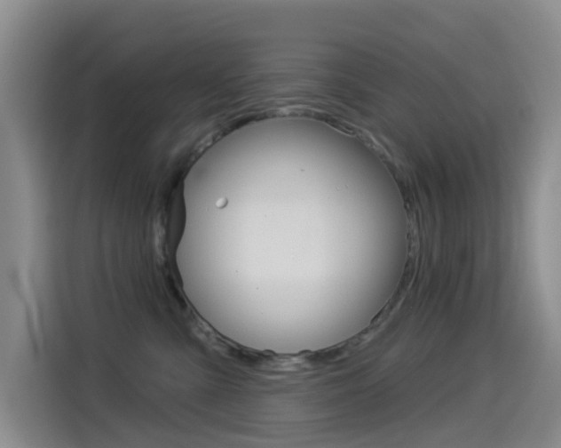 X0000114550427200910190955