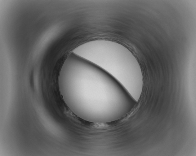 X0000114550429200910190955