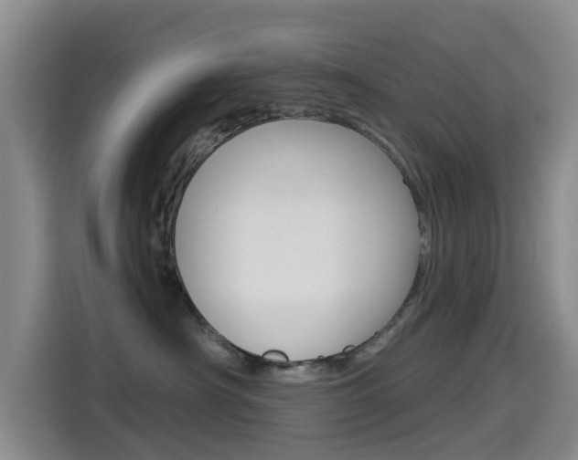 X0000114550430200910190955