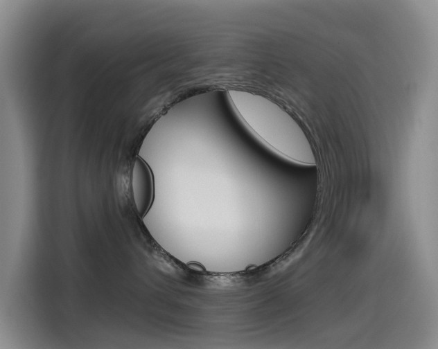X0000114550432200910190955