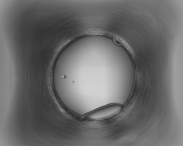 X0000114550433200910190954