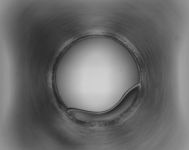 X0000114550434200910190954