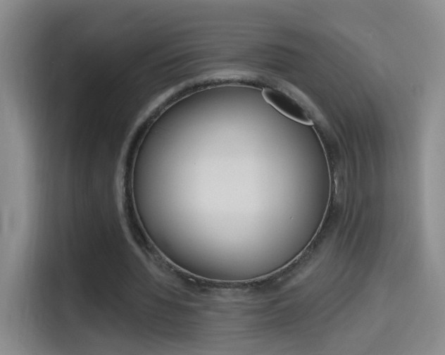 X0000114550436200910190954