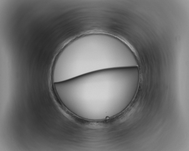 X0000114550437200910190954