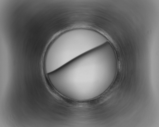 X0000114550438200910190954