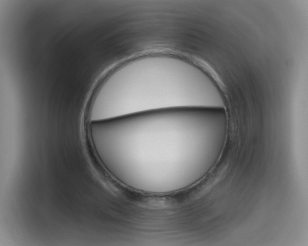X0000114550439200910190954