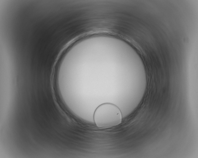 X0000114550440200910190954