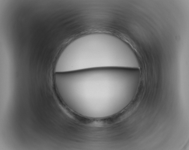 X0000114550441200910190954