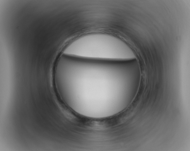 X0000114550442200910190954