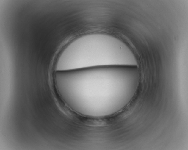 X0000114550443200910190954