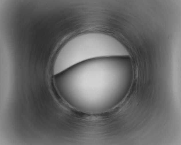 X0000114550444200910190954