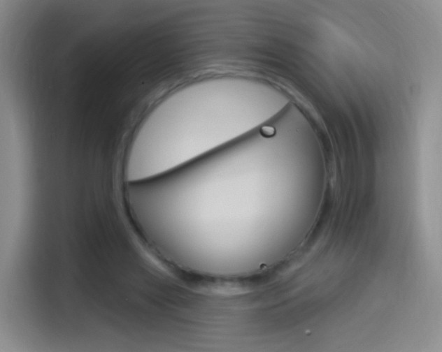 X0000114550445200910190954