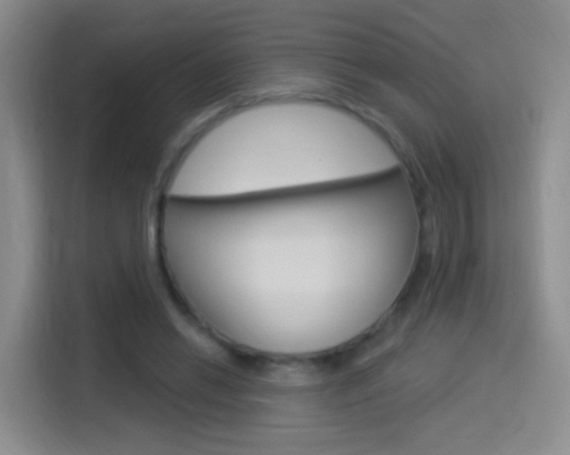 X0000114550446200910190954