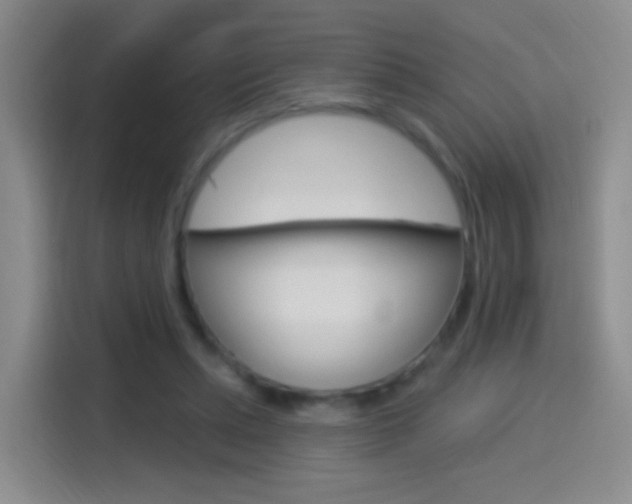 X0000114550447200910190954