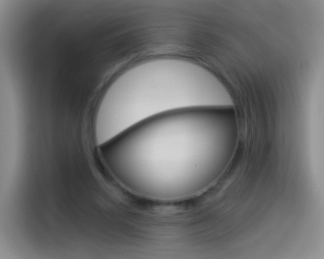 X0000114550448200910190954