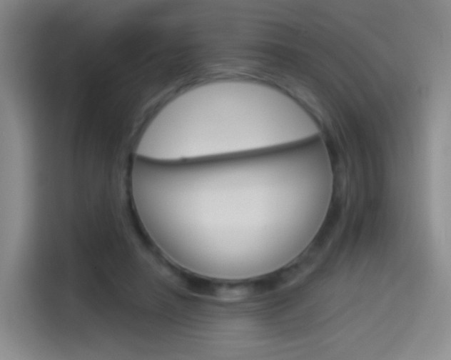 X0000114550450200910190954