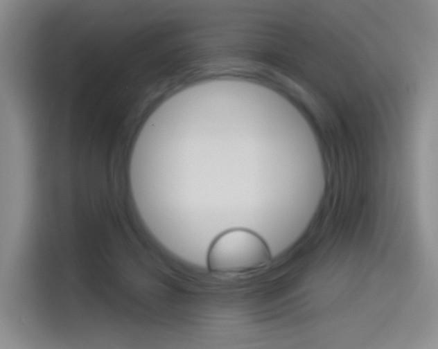 X0000114550452200910190954